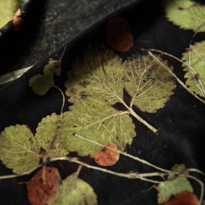 May include: A black fabric featuring a botanical print of green leaves and small reddish-brown circular shapes. The leaves display detailed veins and serrated edges, scattered across the dark surface in a natural, organic arrangement.