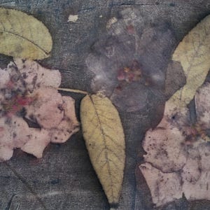 May include: A textile surface featuring a botanical print with three pale pink flowers and three elongated yellow leaves. The background is a dark, mottled gray with a textured appearance, showcasing natural plant imprints on fabric.