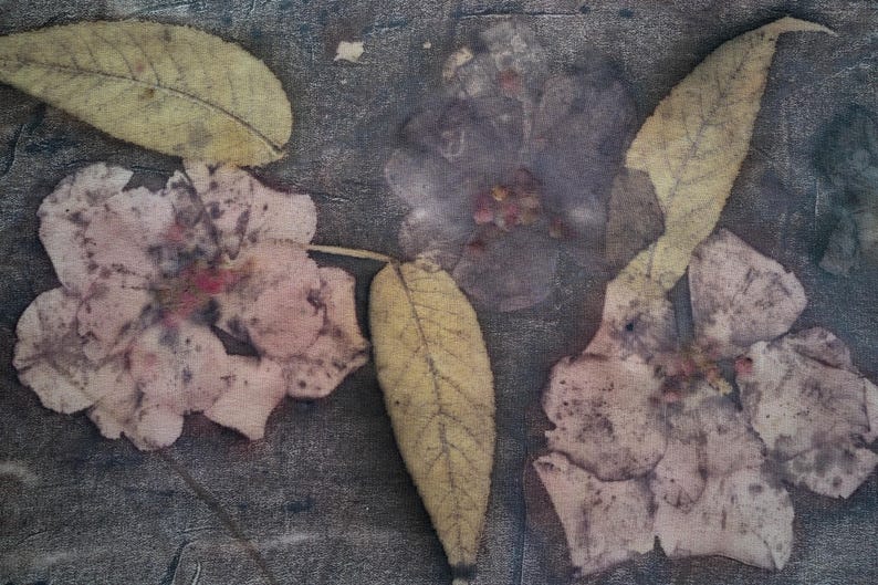 May include: A textile surface featuring a botanical print with three pale pink flowers and three elongated yellow leaves. The background is a dark, mottled gray with a textured appearance, showcasing natural plant imprints on fabric.