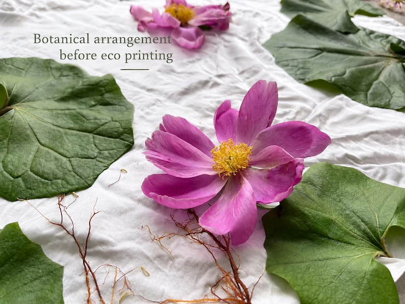 May include: A white fabric surface featuring a botanical arrangement of green leaves, pink flowers with yellow centers, and thin brown roots. The text "Botanical arrangement before eco printing" is printed in gray on the white fabric.