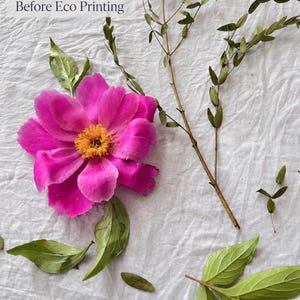 May include: A botanical arrangement before eco printing featuring a vibrant magenta peony with a yellow center, several green leaves, and thin brown stems. The text Botanical Arrangement Before Eco Printing is visible in the upper left corner.