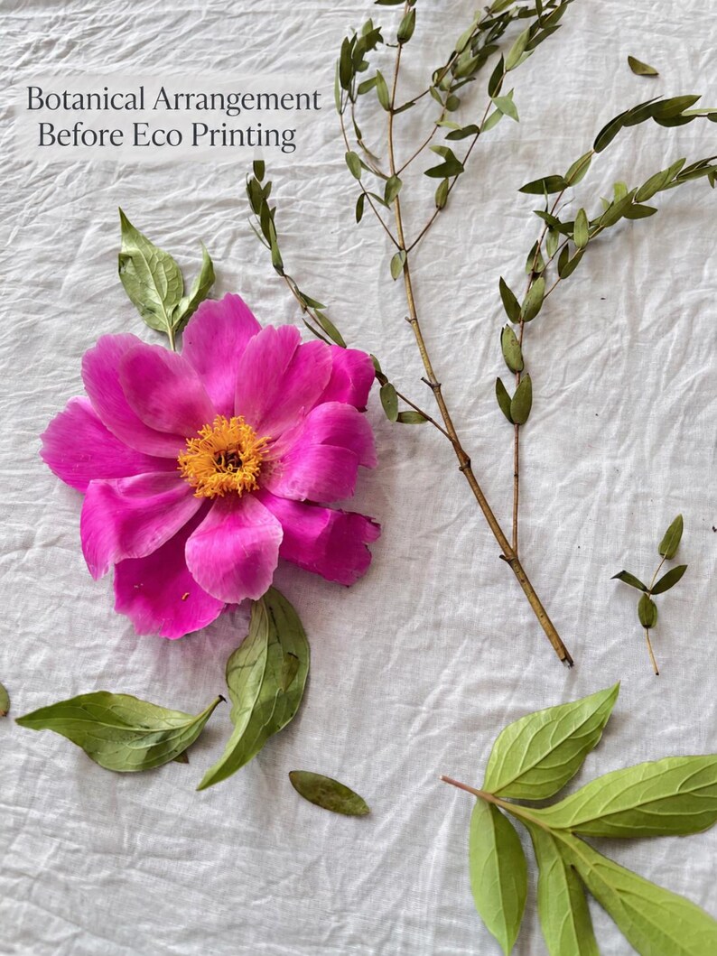 May include: A botanical arrangement before eco printing featuring a vibrant magenta peony with a yellow center, several green leaves, and thin brown stems. The text Botanical Arrangement Before Eco Printing is visible in the upper left corner.