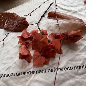 May include: A botanical arrangement of dried brown leaves and reddish-orange hydrangea flowers on a white fabric surface. The text Botanical arrangement before eco printing is visible at the bottom of the image, describing the plant materials.