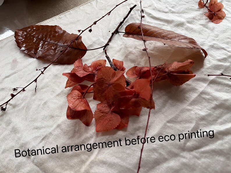 May include: A botanical arrangement of dried brown leaves and reddish-orange hydrangea flowers on a white fabric surface. The text Botanical arrangement before eco printing is visible at the bottom of the image, describing the plant materials.