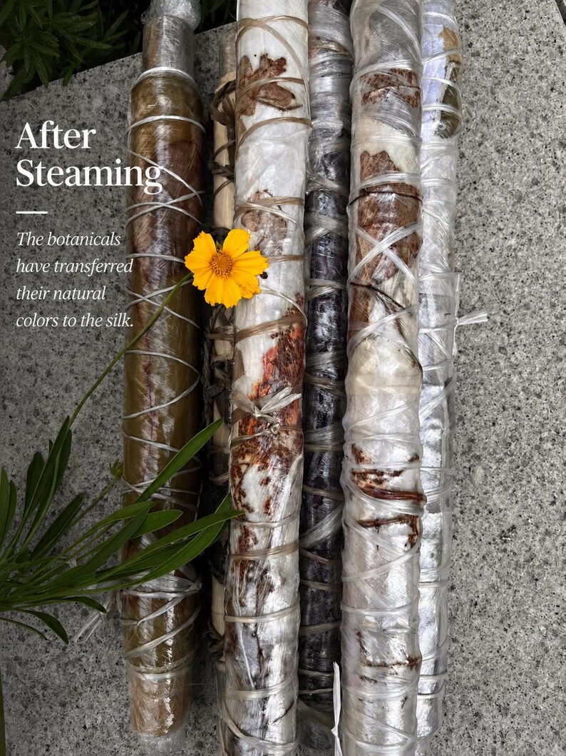 May include: Several cylindrical bundles of silk wrapped in clear plastic and tied with string, containing botanical elements. Text reads: After Steaming. The botanicals have transferred their natural colors to the silk. A bright yellow flower is visible.