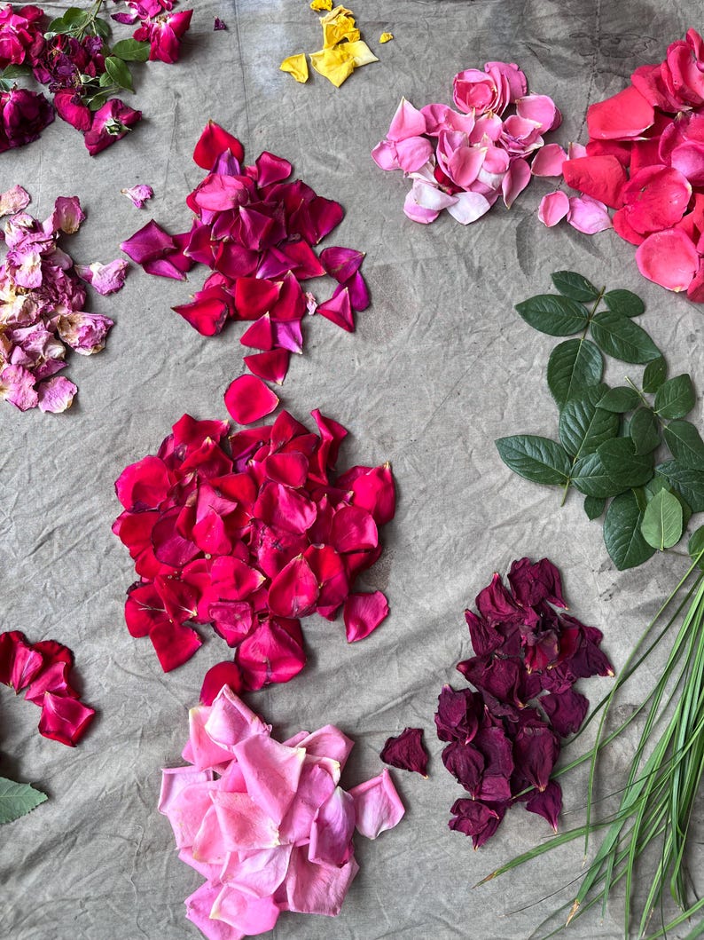May include: A collection of scattered rose petals in shades of deep red, magenta, light pink, and yellow, arranged on a textured gray fabric surface. The display includes clusters of loose petals, several green rose leaves, and long thin grass blades.