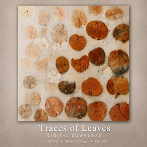 Könnte beinhalten: Ein digitaler Druck mit dem Titel Traces of Leaves, der eine Sammlung kreisförmiger, gepresster Blattabdrücke in verschiedenen Orange-, Braun- und Beigetönen auf einem strukturierten, hellen Hintergrund zeigt. Der Text lautet Traces of Leaves.