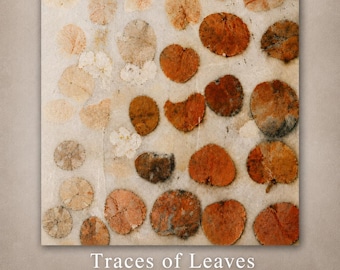 Puede incluir: Una impresión digital titulada Traces of Leaves que presenta una colección de impresiones de hojas circulares prensadas en varios tonos de naranja, marrón y beige sobre un fondo texturizado claro. El texto dice Traces of Leaves.