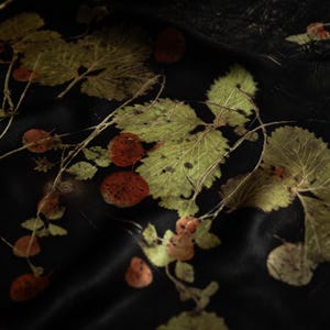 May include: A black fabric featuring a botanical print of green serrated leaves and small, round, reddish-brown berries. The design displays a natural, organic arrangement of foliage and fruit scattered across the dark, smooth surface of the textile.
