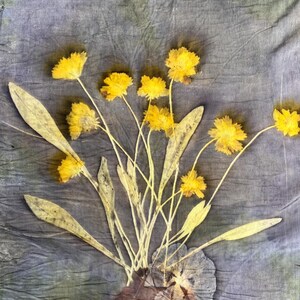 May include: A textile piece featuring a botanical print of yellow flowers with long, slender green leaves on a mottled, dark grey-blue fabric background. The design includes a dark, rounded shape at the base from which the stems emerge.
