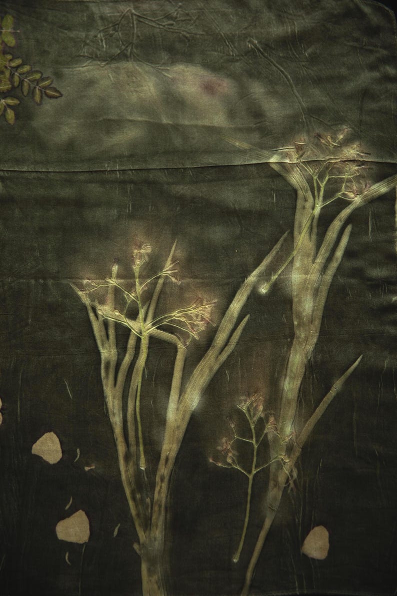 May include: A dark olive green fabric featuring botanical prints of tall flowering plants and scattered leaves. The textile displays a natural, earthy aesthetic with visible plant silhouettes in lighter shades of green and tan against a dark background.