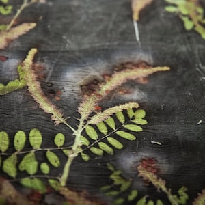 May include: A dark charcoal gray fabric featuring a botanical print of green fern-like leaves and elongated, textured yellow-green catkins. The textile has a visible crinkled, semi-sheer texture with subtle reddish-brown spots scattered throughout.