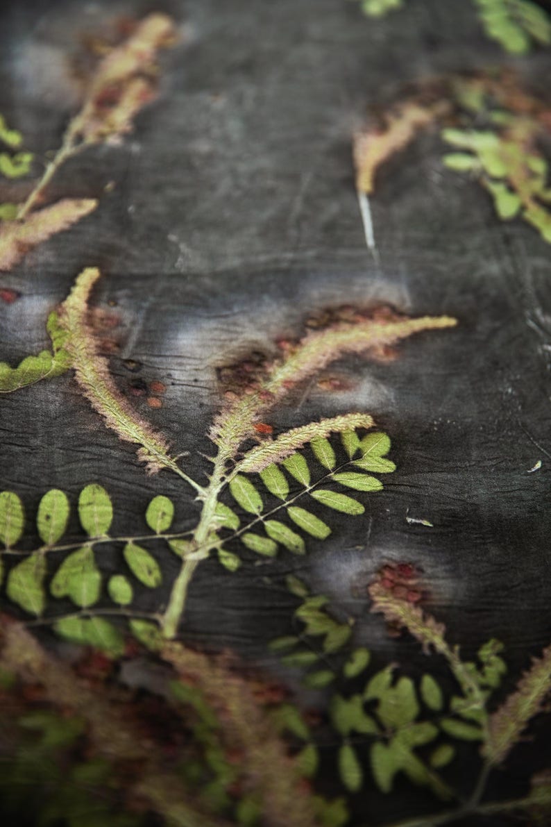 May include: A dark charcoal gray fabric featuring a botanical print of green fern-like leaves and elongated, textured yellow-green catkins. The textile has a visible crinkled, semi-sheer texture with subtle reddish-brown spots scattered throughout.