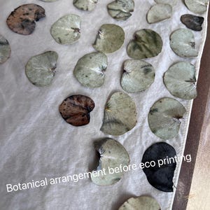 K&ouml;nnte beinhalten: Ein wei&szlig;es Stofftuch mit einem botanischen Arrangement aus zahlreichen getrockneten Eukalyptusbl&auml;ttern in Gr&uuml;n-, Braun- und Schwarzt&ouml;nen, mit dem Text "Botanical arrangement before eco printing" in Wei&szlig; im unteren Bereich gedruckt.