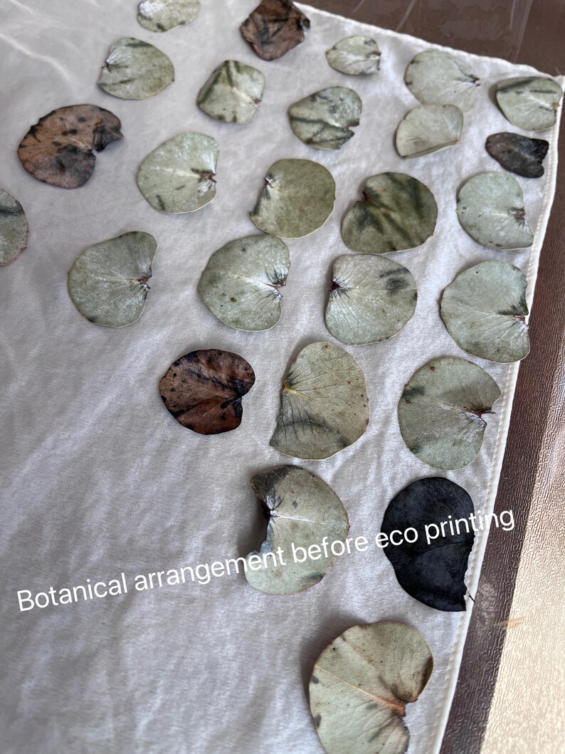 K&ouml;nnte beinhalten: Ein wei&szlig;es Stofftuch mit einem botanischen Arrangement aus zahlreichen getrockneten Eukalyptusbl&auml;ttern in Gr&uuml;n-, Braun- und Schwarzt&ouml;nen, mit dem Text "Botanical arrangement before eco printing" in Wei&szlig; im unteren Bereich gedruckt.