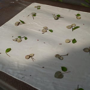 May include: A square off-white fabric cloth decorated with a scattered pattern of small, dried, circular seed pods and individual bright green leaves. The botanical elements are arranged across the smooth, light-colored textile surface.