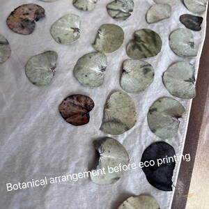 May include: A white fabric cloth featuring a botanical arrangement of numerous dried eucalyptus leaves in shades of green, brown, and black, with the text "Botanical arrangement before eco printing" printed in white on the lower section.