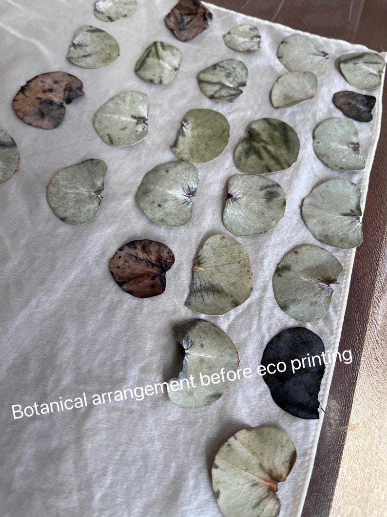 May include: A white fabric cloth featuring a botanical arrangement of numerous dried eucalyptus leaves in shades of green, brown, and black, with the text "Botanical arrangement before eco printing" printed in white on the lower section.
