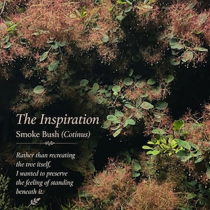 May include: A smoke bush (Cotinus) with dark green leaves and feathery pinkish-purple plumes. Text reads: The Inspiration, Smoke Bush (Cotinus), Rather than recreating the tree itself, I wanted to preserve the feeling of standing beneath it.