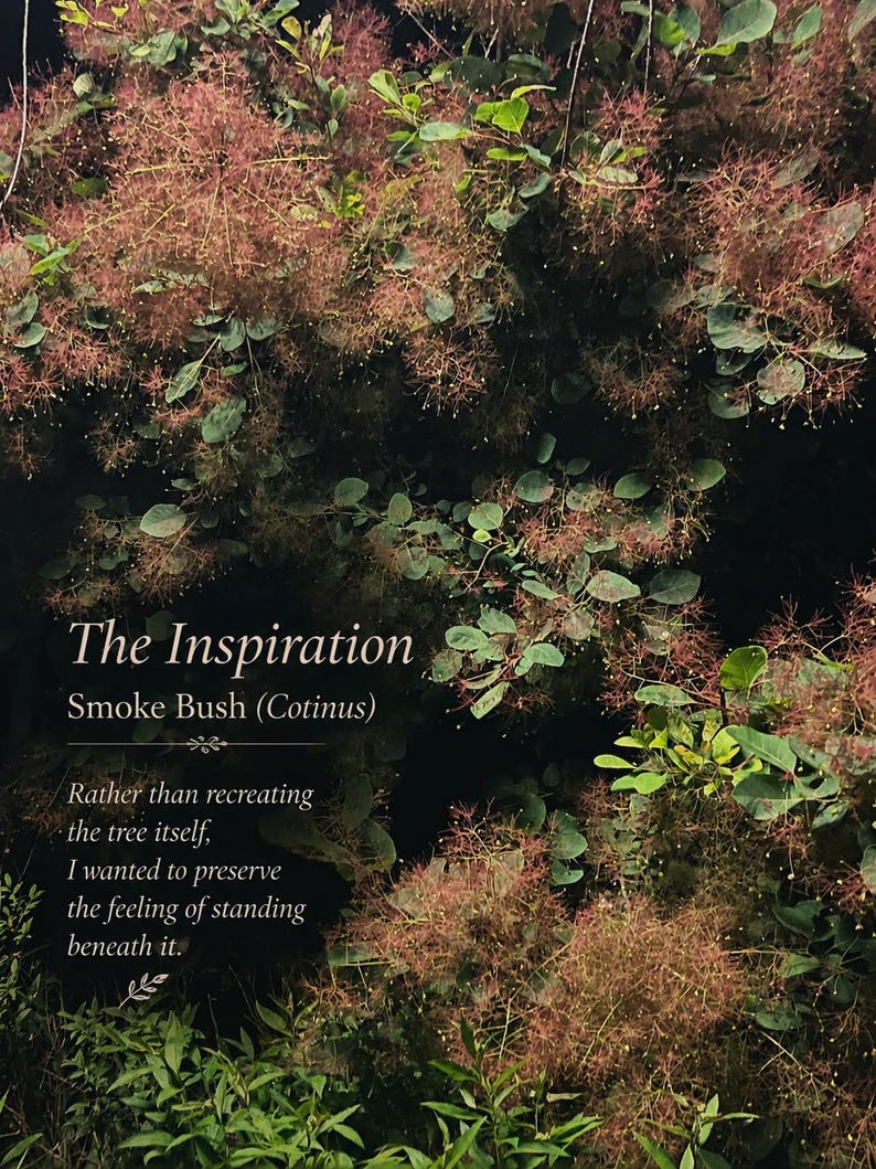 May include: A smoke bush (Cotinus) with dark green leaves and feathery pinkish-purple plumes. Text reads: The Inspiration, Smoke Bush (Cotinus), Rather than recreating the tree itself, I wanted to preserve the feeling of standing beneath it.