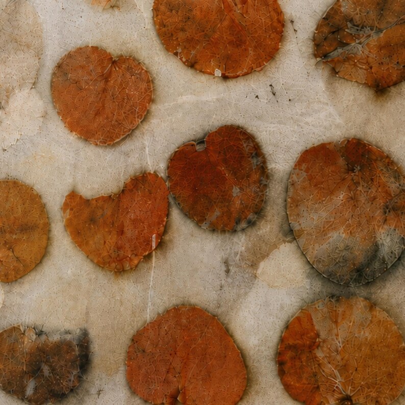 May include: A collection of dried, circular, rust-coloured leaves with visible vein patterns embedded into a textured, off-white, translucent material. The leaves vary in size and shade, displaying deep orange and brown tones across the surface.