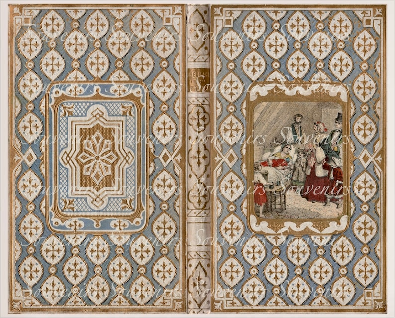 Puede incluir: Un libro antiguo con una cubierta estampada en azul y dorado. La cubierta presenta un dise&ntilde;o floral dorado central dentro de un marco rectangular. El lado derecho del libro tiene una ilustraci&oacute;n enmarcada de una reuni&oacute;n. La palabra "Souvenirs" est&aacute; impresa en el lomo.