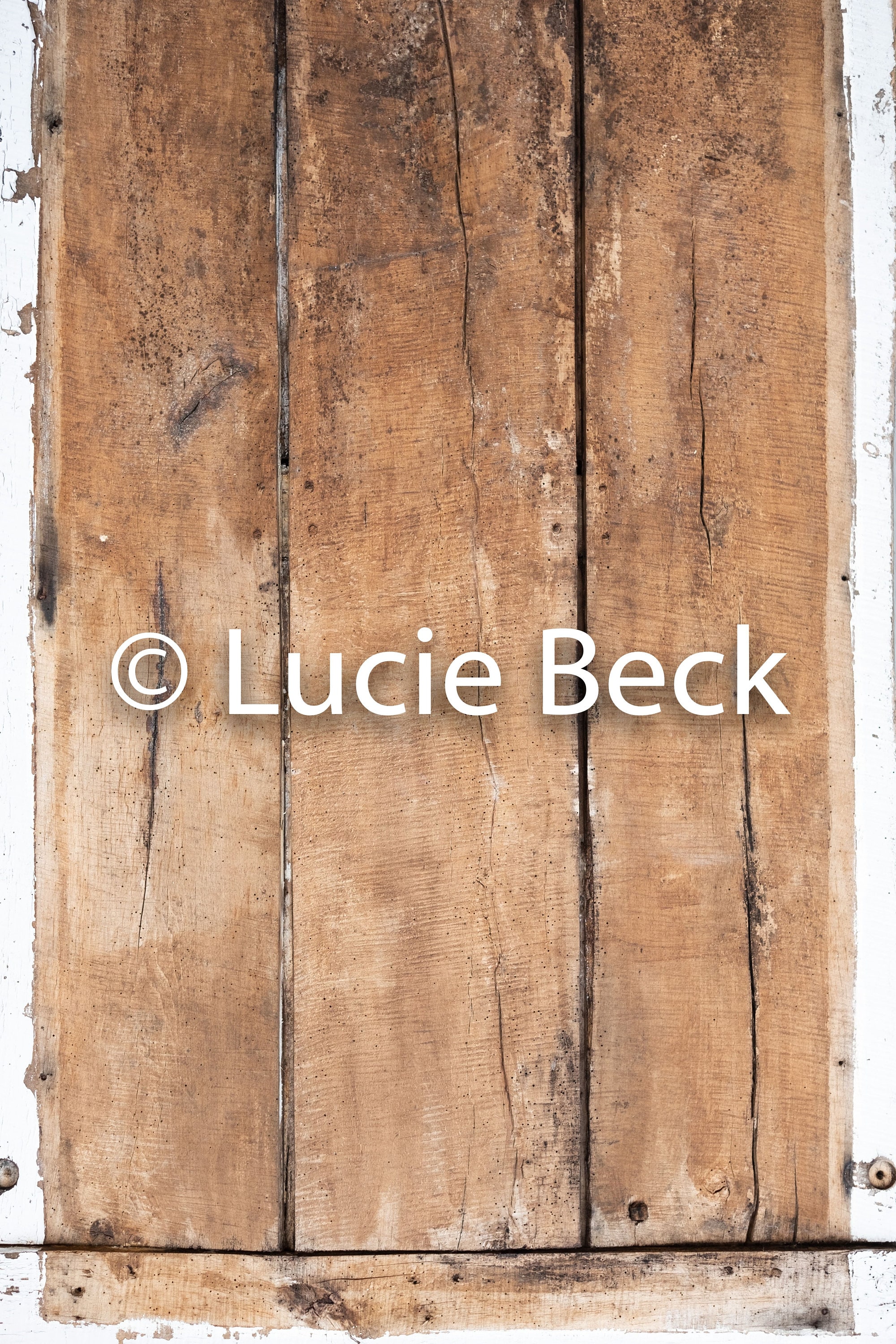 Wooden Door Backdrop ML315 Backdrop for Food Photography and Etsy
