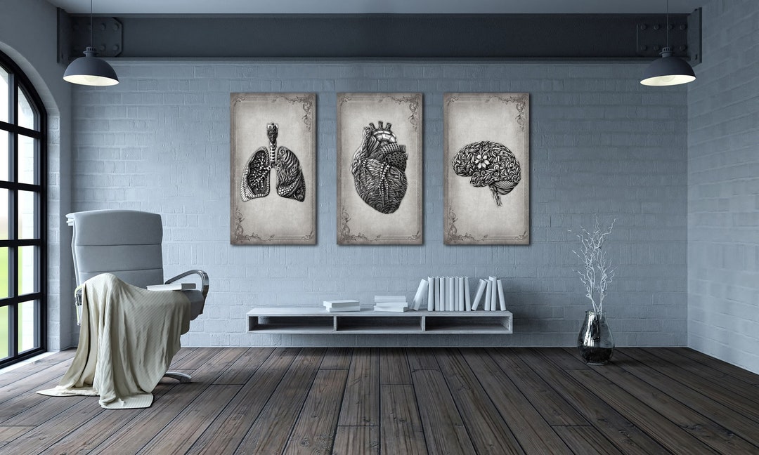 Human Anatomy Print Art, Set of 3 Anatomy Floral, Brain Posters, Heart ...