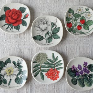 Arabia Esteri Tomula - Etsy