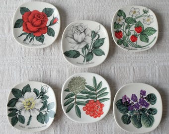 Arabia Finland Botanica vägghängande tallrik, väggtallrik, vintage heminredning, nordiska vintage keramikbonader, designad av Esteri Tomula
