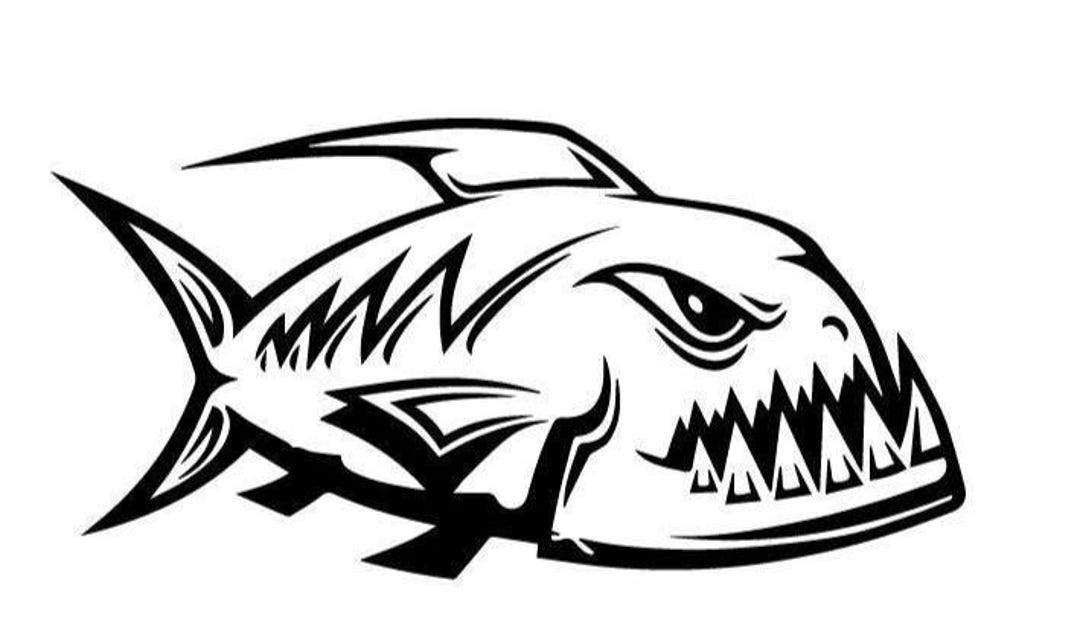 The 2 X Large Angry Fish Decal, Boat Fishing Vinyl Sticker Ute 4X4 ...