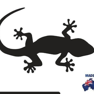 Geckos x 3 verschiedene Größen