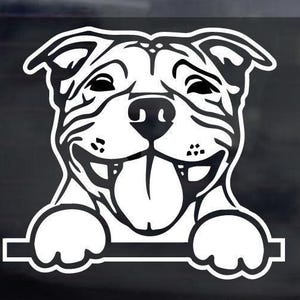 Naklejka na samochód Uśmiechnięty Staffy wyglądający przez okno samochodu