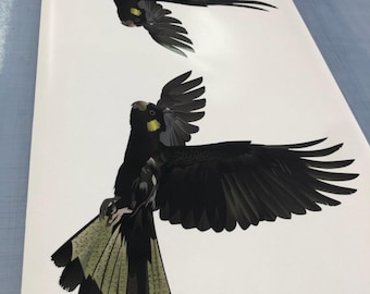 The 2 x Black Cockatoo yellow tail 350mm Sticker Decal for Car, Motorhome, Window, Truck, sign