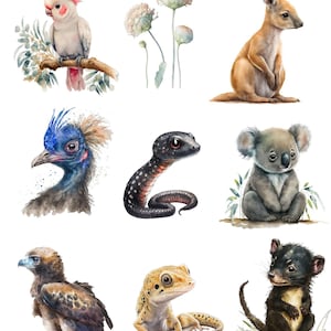 Set-of-Australian-animal-wall-sticker-decals-removable