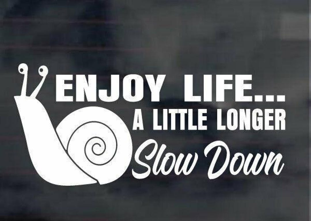Slow Life Sticker Enjoy Life Slow-down Car Sticker - Funny Snail Decal for Caravans - Etsy