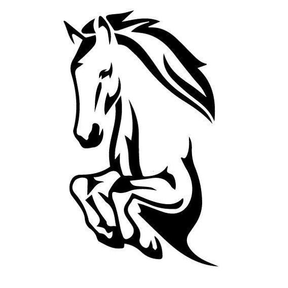 Pinto Horse Decal Equestrian car truck trailer window vinyl sticker