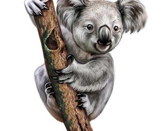 Australian Koala Sticker, Large Full Color Wildlife Decal for Car Window Motorhome or Truck