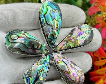 大きなアワビの貝殻（12～13cm）：天然貝殻のホームデコレーション