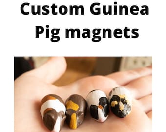 Custom Guinea Pig magnets: custom, pet gift, magnet, cute, housewarming, pet memorial