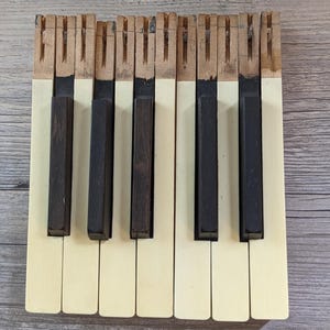 May include: A section of a vintage piano keyboard. The keys are ivory-colored with black and dark brown keys. The wooden frame is visible at the top, showing the individual key supports. The keys are arranged in a straight line.