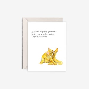 cat birthday, cats, funny cat birthday, cat card, fun birthday card, funny greeting card, feline card, witty birthday card image 1