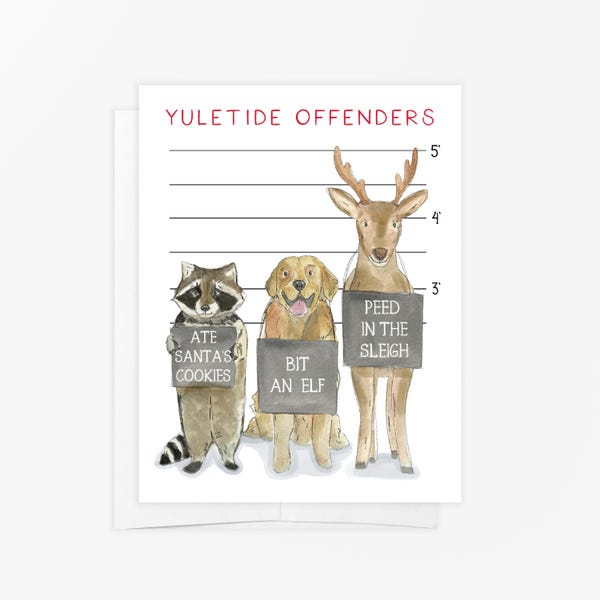 Funny Christmas Card – Yuletide Offenders Holiday Card – Raccoon Dog & Reindeer Christmas Card