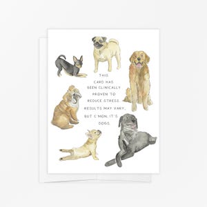 Hondenkaart, hondenbehandelingskaart, Thinking of you-kaart, hondenliefhebberkaart, hondenverzorgingspakket, nieuwe hondenkaart, kaart gewoon omdat, honden zijn de beste