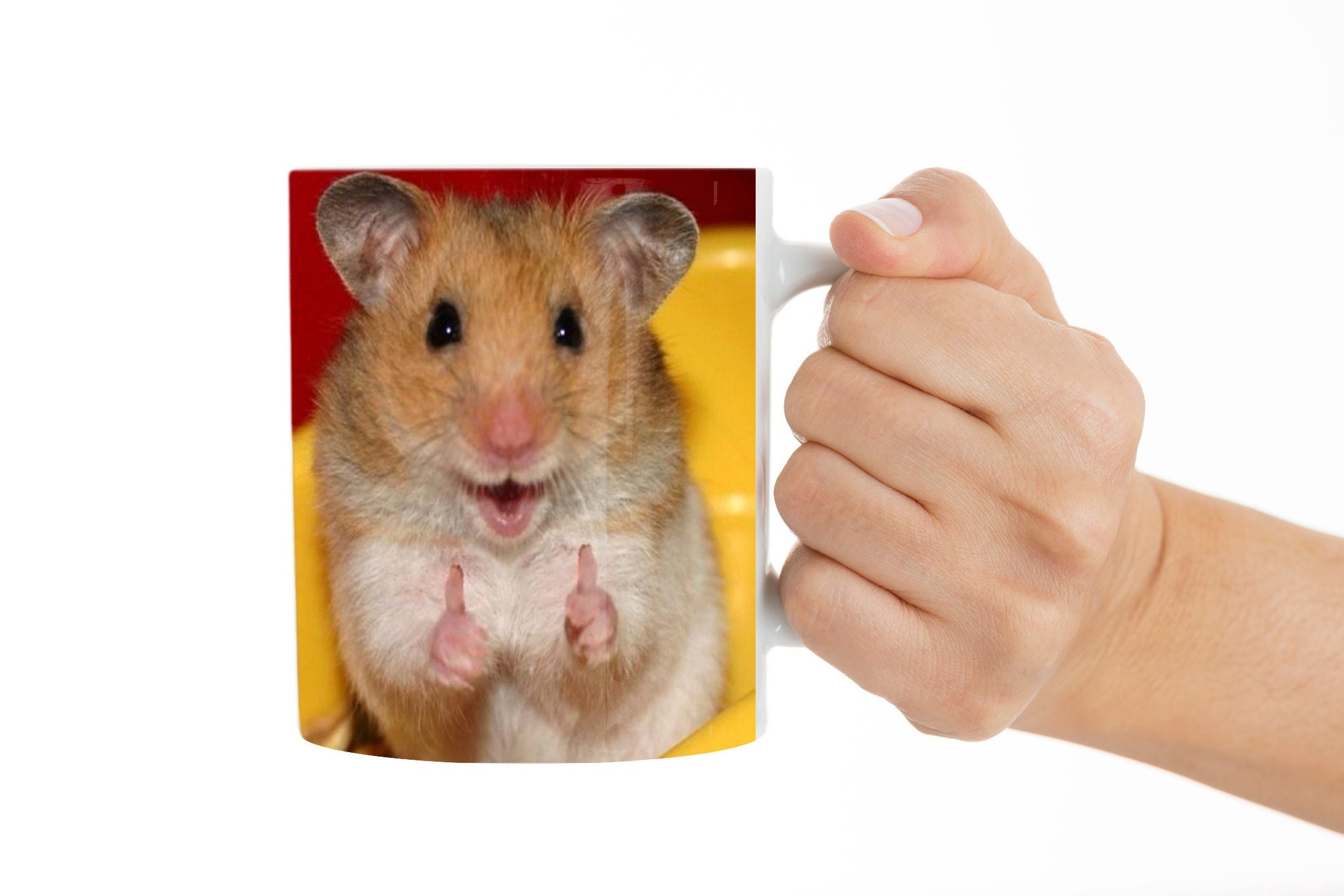 Hamsters as Pets - Veterinary Partner - VIN