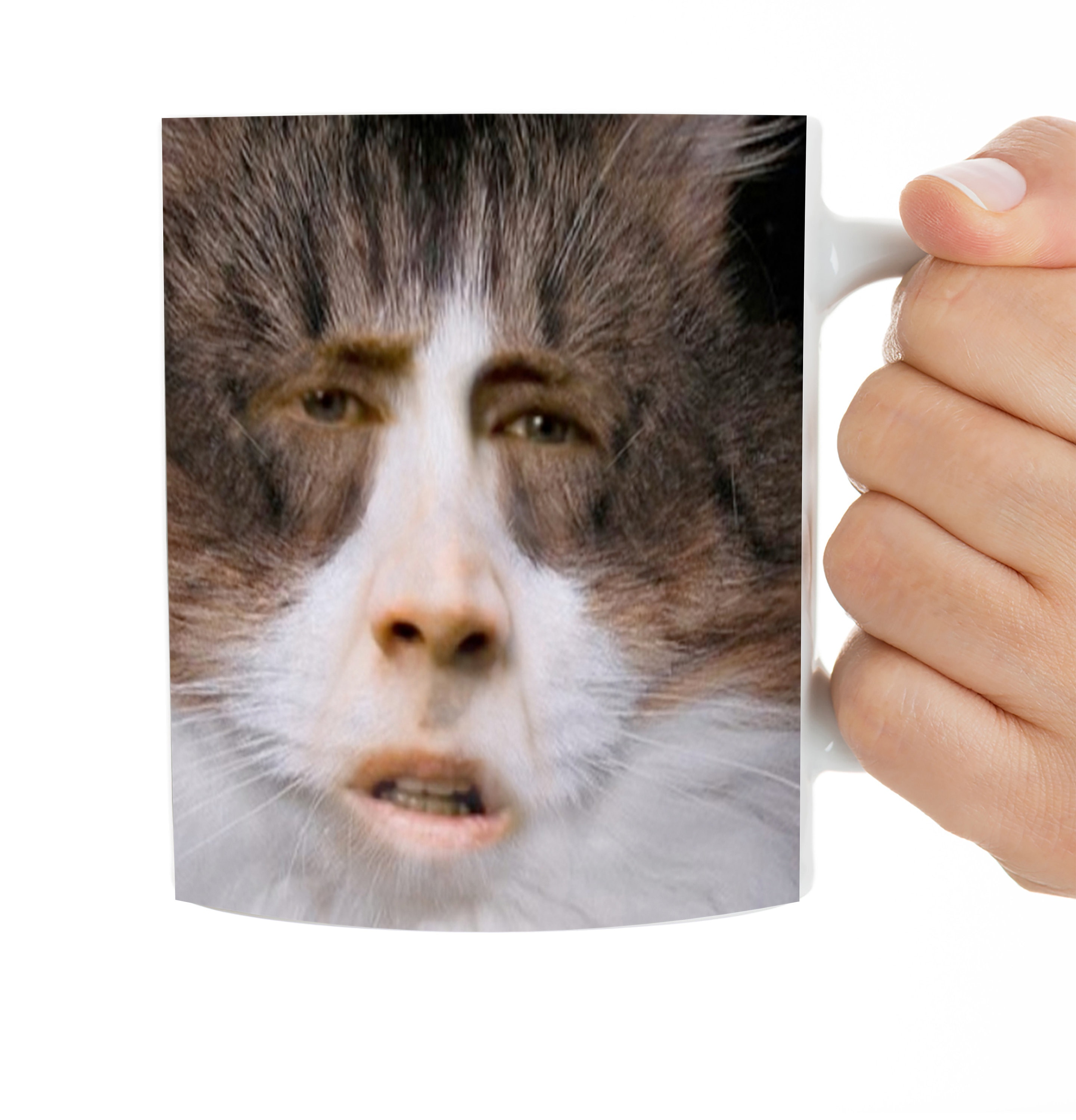 nicolas cage cat face meme