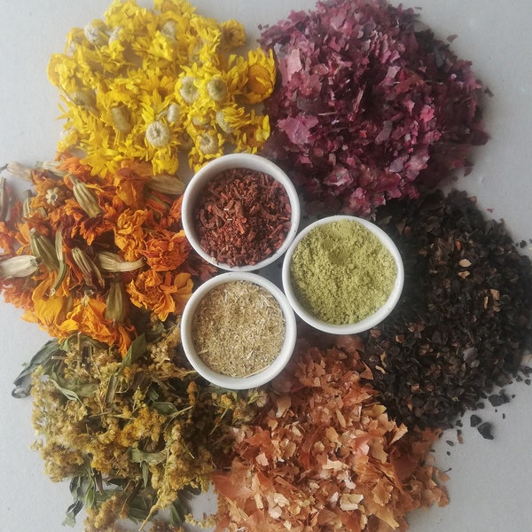 Plant dyes. Dyers marigold. Dyers chamomilla. Goldenrod. Onion skins. Henna. Madder roots. Walnut hulls. Raw plants for dyeing.