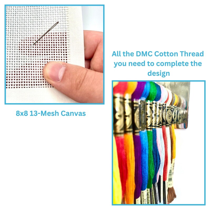 May include: An 8x8 13-mesh needlepoint canvas with a metal needle and a collection of multi-colored DMC cotton embroidery threads. The text reads: 8x8 13-Mesh Canvas and All the DMC Cotton Thread you need to complete the design.