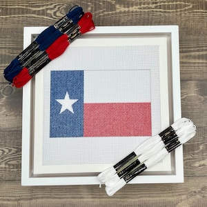 May include: A needlepoint canvas featuring the Texas state flag with a blue vertical stripe, a white star, and horizontal white and red stripes, framed in white, accompanied by three skeins of white embroidery floss and two of red and blue.