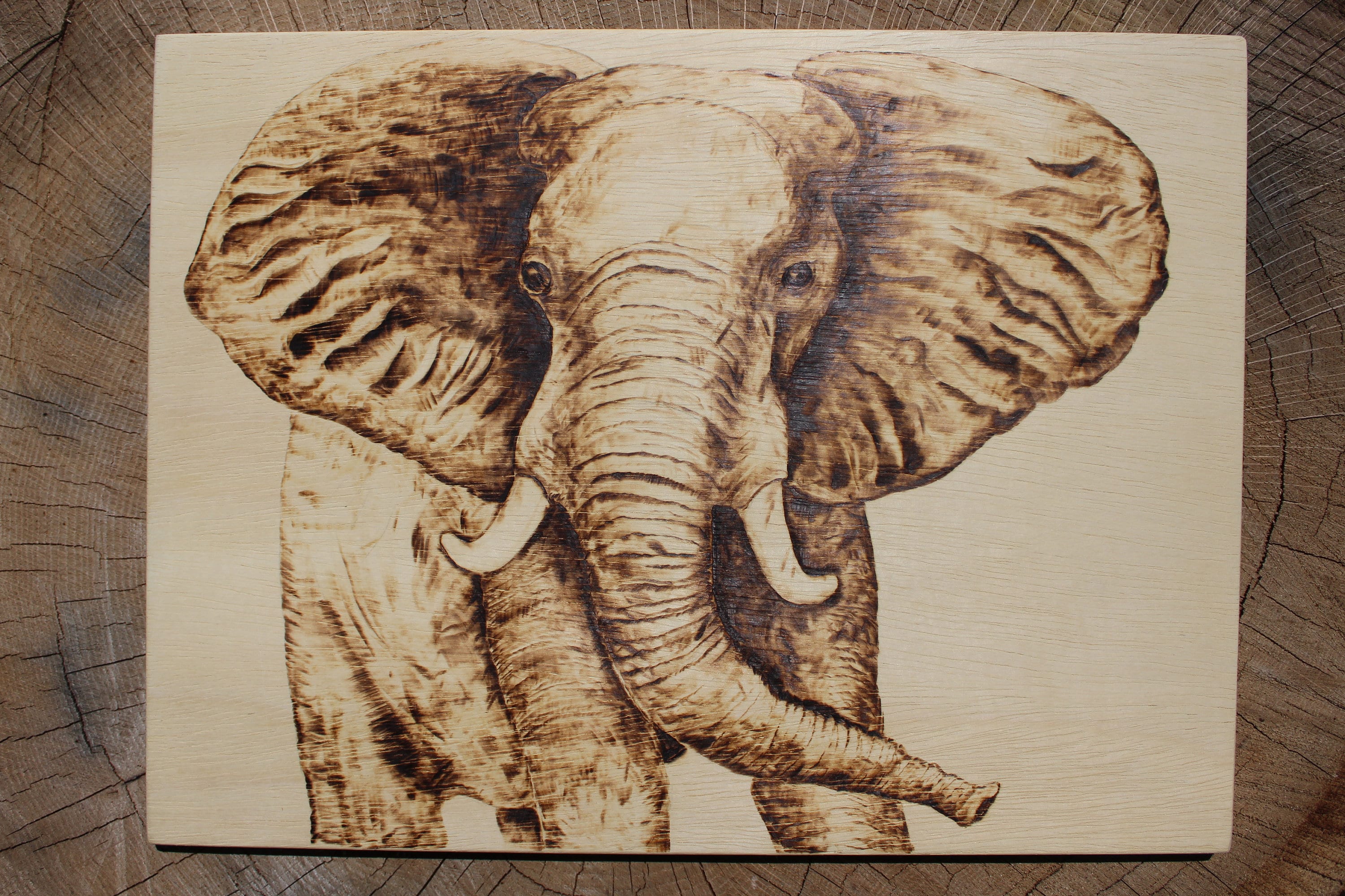 Brûleur à bois et cuir - pyrographe KD10112